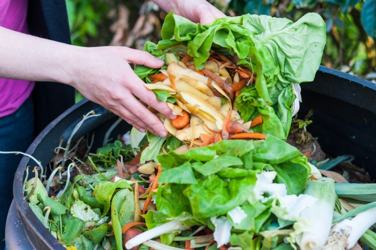 Zero-Waste Catering: March Events Going Green (Finally!)
